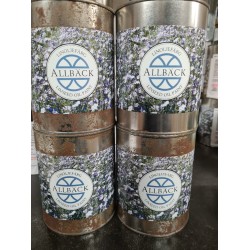 Rustplettede dåser Versaillesgul 1 l